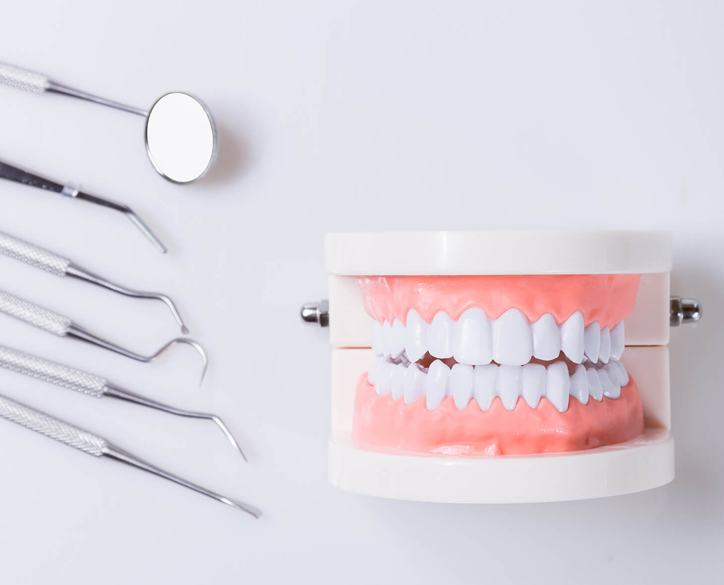 予防から専門性の高い治療まで幅広く対応